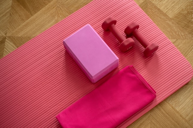 Gym and Fitness Centers business